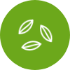 Variedad de semillas