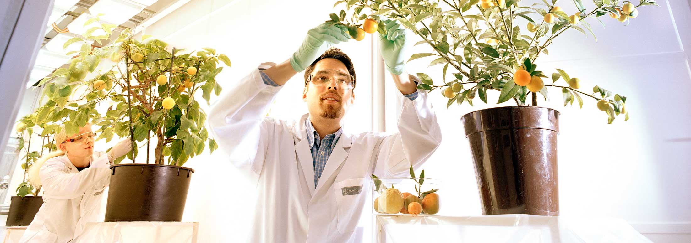Grants4Ag 2021: Bayer reconoce talentos en América Latina