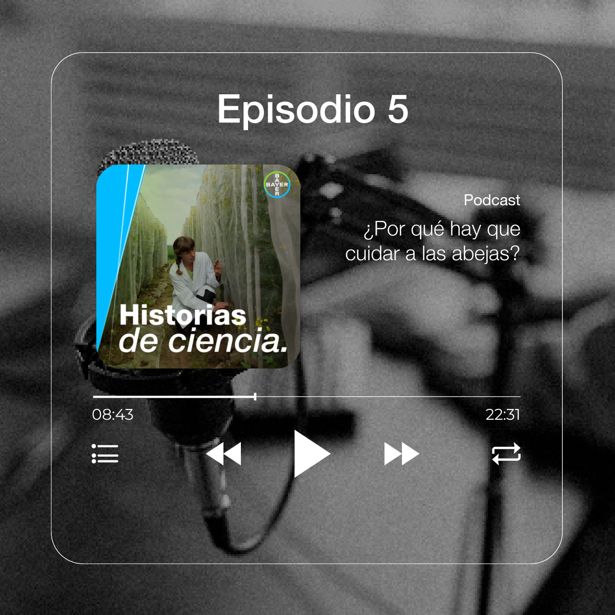 Episodio 5: ¿Por qué hay que cuidar a las abejas?