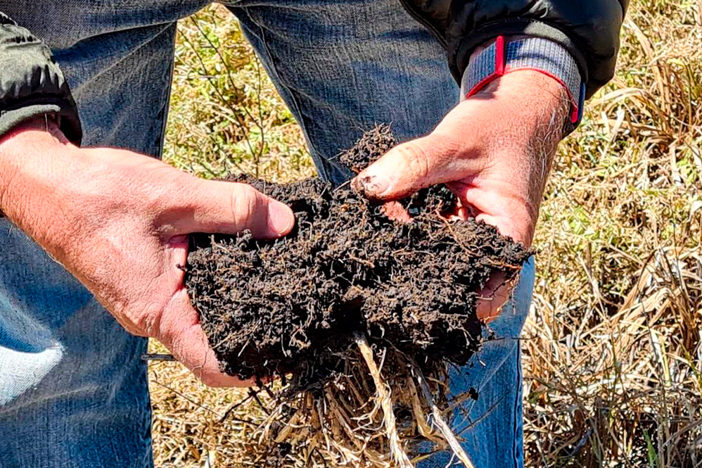 Pro Carbono, de Bayer: la agricultura digital, clave para la sustentabilidad