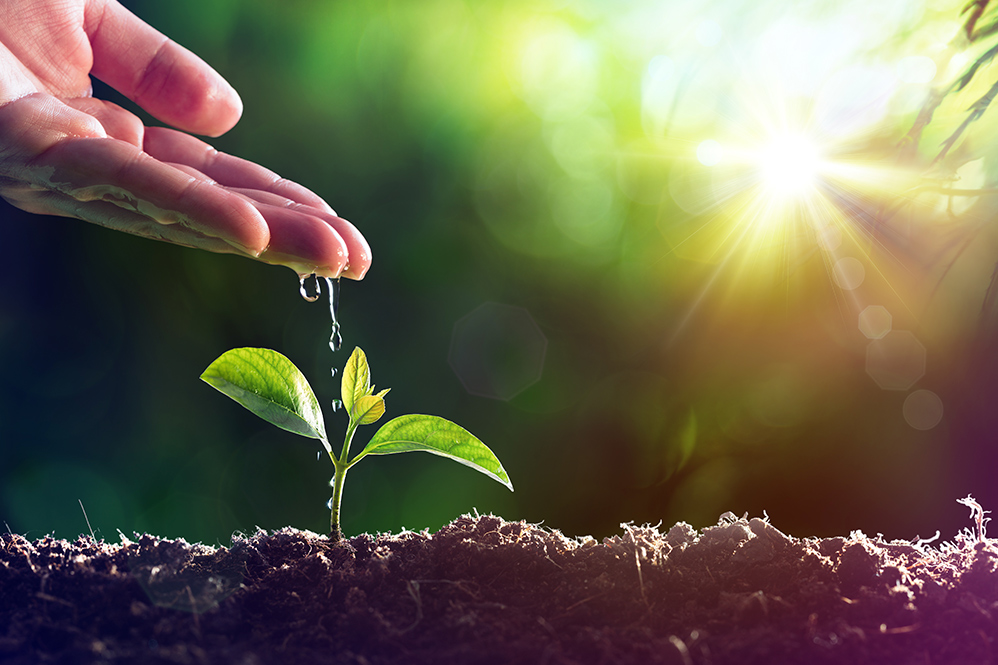 La agricultura cambia para preservar el agua dulce