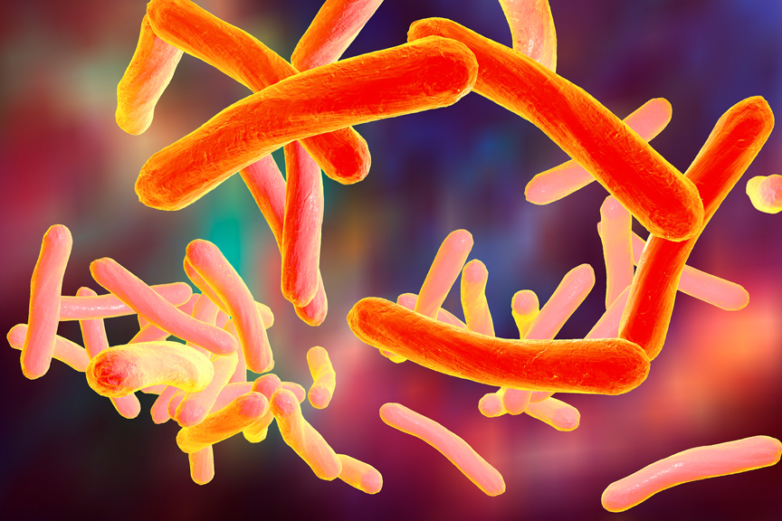 Proteínas BT: Ciencia aplicada al manejo de las plagas agrícolas