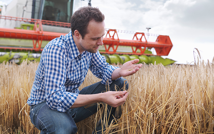 Sustentable, regenerativa, productiva: investigación al servicio de una agricultura mejor