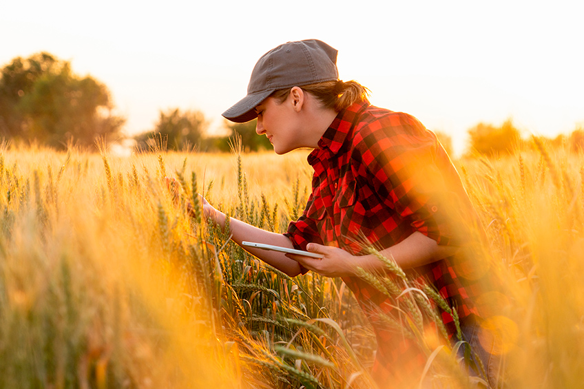 CropKey: A Chave para a Proteção de Cultivos Sustentável