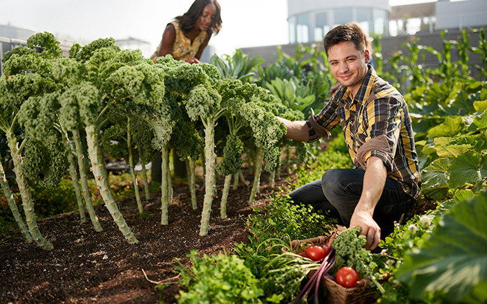 Beneficios de los transgénicos para una agricultura sustentable